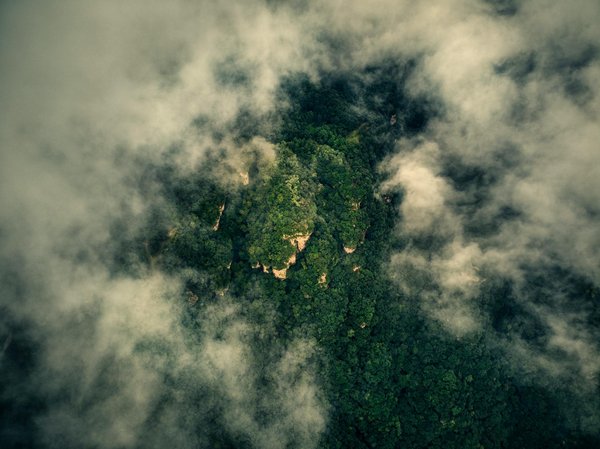 Pourquoi photo ecologie a transformé l'avis de pierre m.