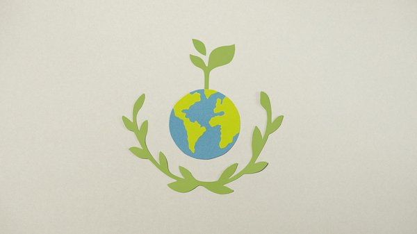 Assurance auto voiture de sport : informez-vous sur les garanties offertes